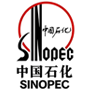 中国石化与国奥合作搭建换电站